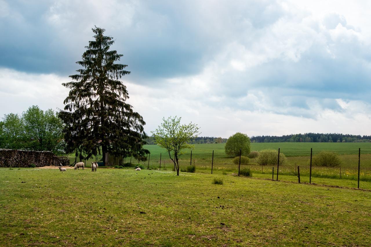 Penzion U kostela Mláka Exteriér fotografie