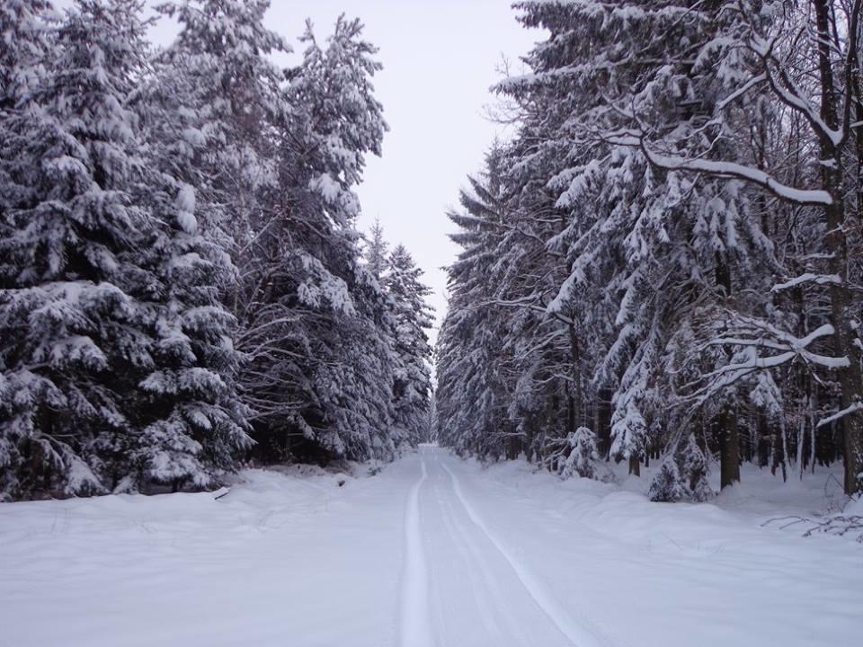 Penzion U kostela Mláka Exteriér fotografie